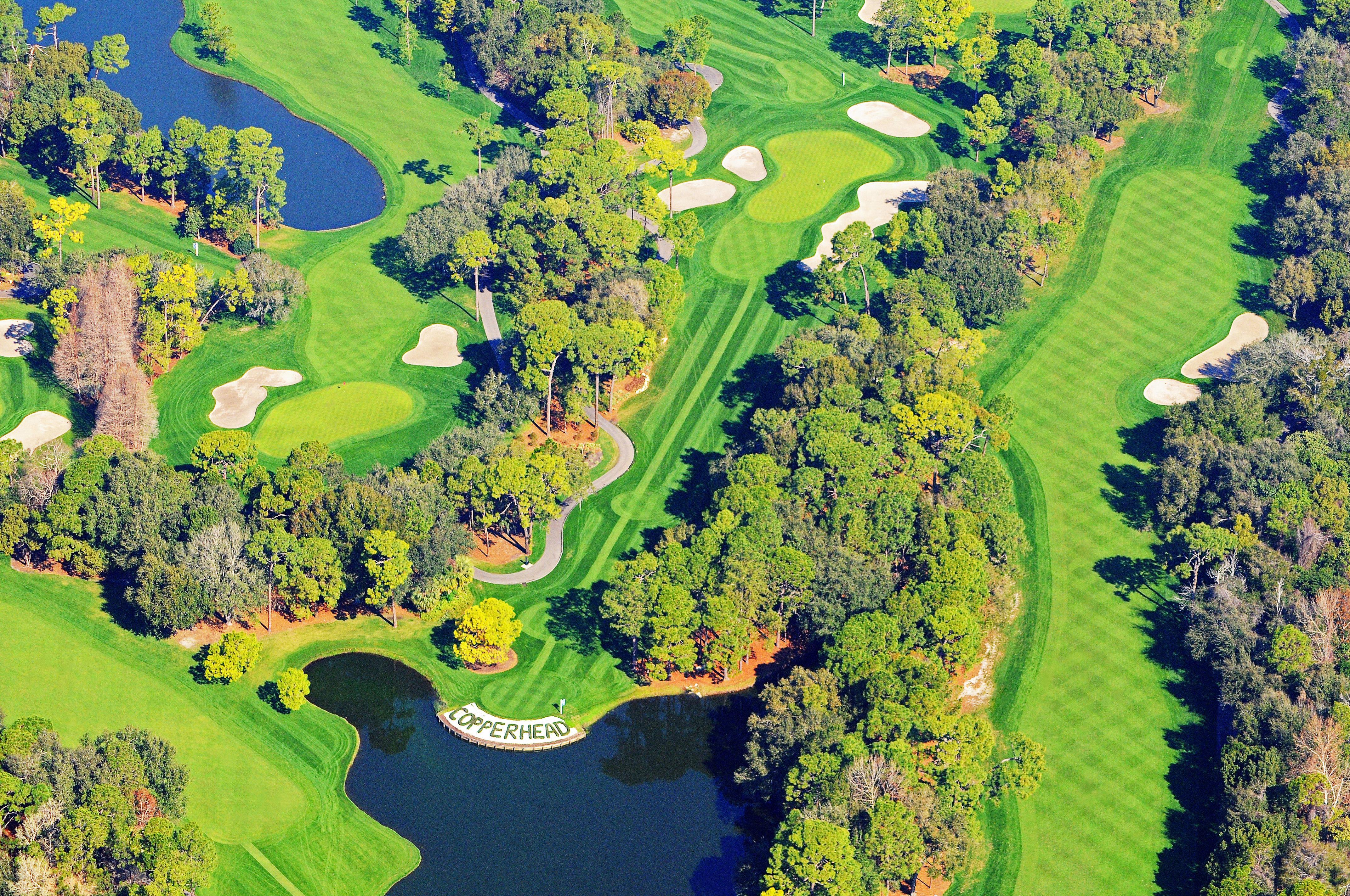 Innisbrook Resort Palm Harbor Luaran gambar
